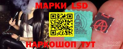 гашик Будённовск