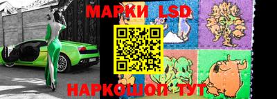 гашик Будённовск