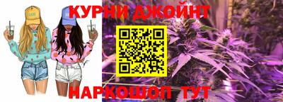 гашик Будённовск