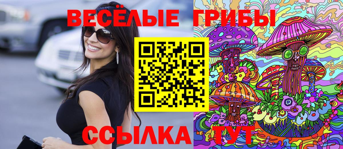 Галлюциногенные грибы Cubensis Советская Гавань